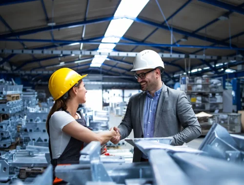 Blog técnico industrial realizando inspección de equipos